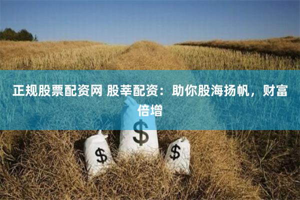 正规股票配资网 股莘配资：助你股海扬帆，财富倍增